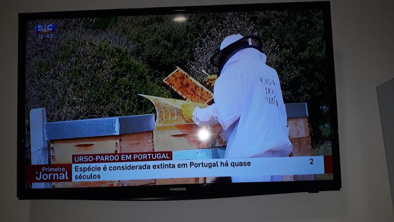 Vila Apimonte Casa Do Pascoal - Pn Montesinho Bragança Exteriér fotografie